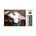 Silly Puppy postage