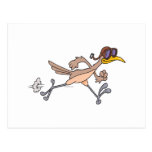 silly roadrunner bird cartoon postcards