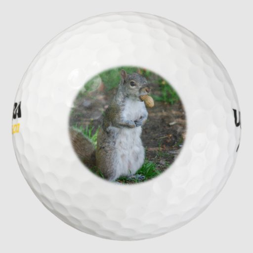 Silly Squirrel Golf Balls Zazzle