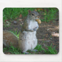 Silly Squirrel Mouse Pad