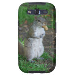 Silly Squirrel Samsung Galaxy SIII Cases