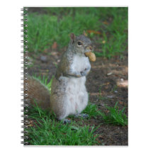 Silly Squirrel Spiral Note Books