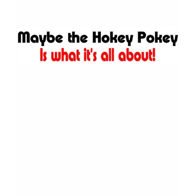 Silly t-shirt hokey pokey by burntright