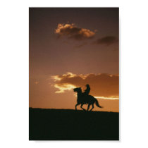 Silueta galopante del vaquero posters