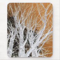 Silver Alder Tree Fractal mousepads