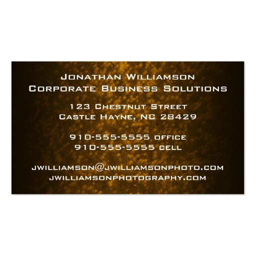 Silver Band Modern Professional Business Card (back side)
