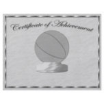 Silver Basketball Certificate of Achievement Flyer