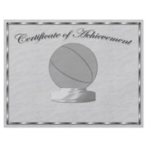 Silver Basketball Certificate of Achievement Flyer
