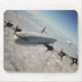 Silver Beauty Mouse Pad