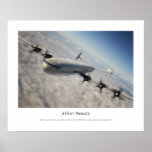 Silver Beauty Poster