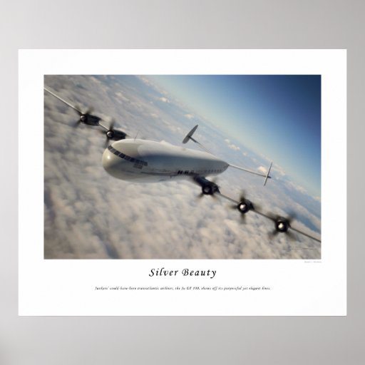Silver Beauty Poster