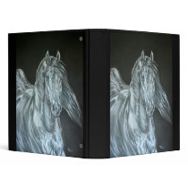 Silver Binders