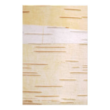 Silver Birch Bark Stationery