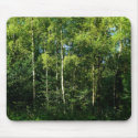 Silver Birch mousepads