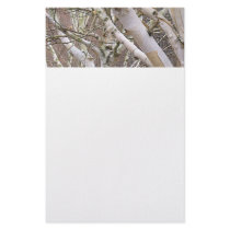 Silver Birch Stationery
