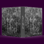 Silver Birch Trees