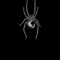 Silver Black Widow Ladies Cami t-shirts