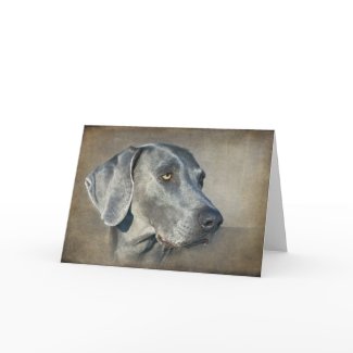 Silver Blue Weimaraner Portrait card