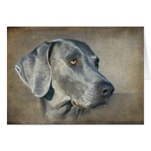Silver Blue Weimaraner Portrait Greeting Cards