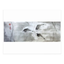 Silver Carp Fish postcards