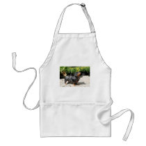 Silver Dapple Dachshund Buddy 2 aprons by FrankzPawPrintz Silver Dapple Dachshund Buddy 2 aprons