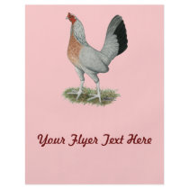 Silver Duckwing Game Hen Flyer