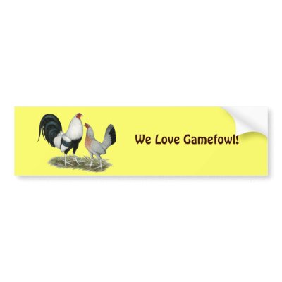Gamefowl Roosters