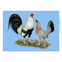 Silver Duckwing Gamefowl Cards