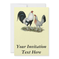 Silver Duckwing Gamefowl Announcement
