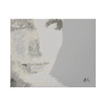 SILVER EYES BY AES GALLERY WRAPPED CANVAS
