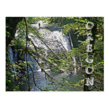 Silver Falls 4 Postcard