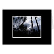 Silver Falls Back Country Greeting Cards