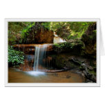 Silver Falls, Big Basin Greeting Card