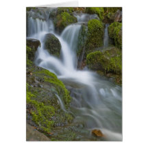 Silver Falls Greeting Cards