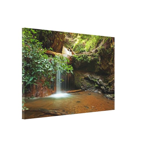 Silver Falls in Big Basin Gallery Wrapped Canvas