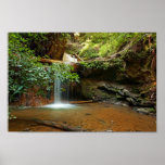 Silver Falls in Big Basin Print