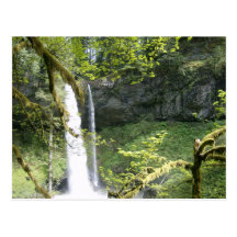Silver Falls Post Card