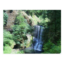 Silver Falls State Park Postcard