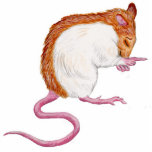 silver fawn hooded rat laughing sculpture photo cut out