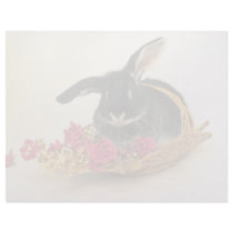 Silver fox rabbit named Boris flowers Letterhead Template