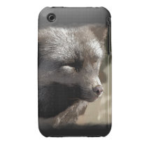 Silver Fox Wild Animal Fox-lover Wildlife Artwork Case-Mate iPhone 3 Cases
