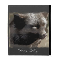 Silver Fox Wild Animal Fox-lover Wildlife Artwork iPad Folio Cases