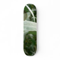 Silver Furred Leaves skateboards