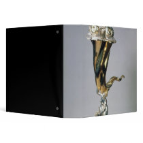 Silver gilt standing cup 3 ring binders