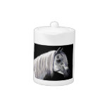 Silver Grey Arabian Horse
