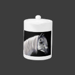 Silver Grey Arabian Horse