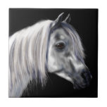 Silver Grey Arabian Horse Tile