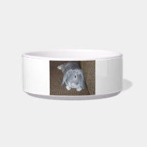 Silver Grey Bunny Rabbit Pet Bowl Cat Food Bowls