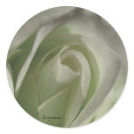 Silver Grey Rose Wedding Envelope Sticker