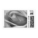 Silver Grey Rose Wedding Postage postage